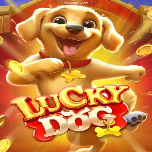 Exploring the Thrill of LuckyDog: An Inside Look at the YGYG Bet Login♣️Plataforma Oficial de Jogos Certificados YGYG.com